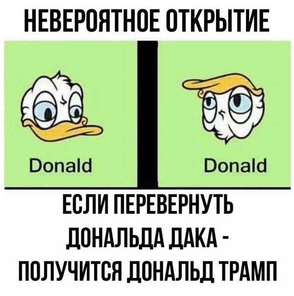 Donald duck & Trump  ,  ,  ,  ,  