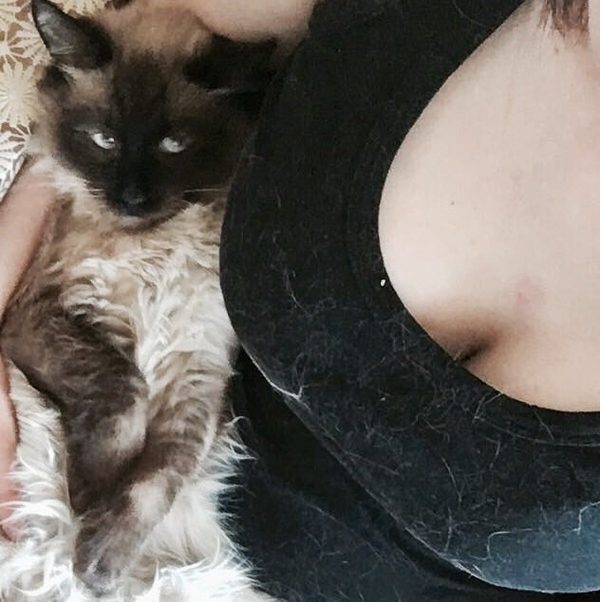 Раскаявшийся жирокот