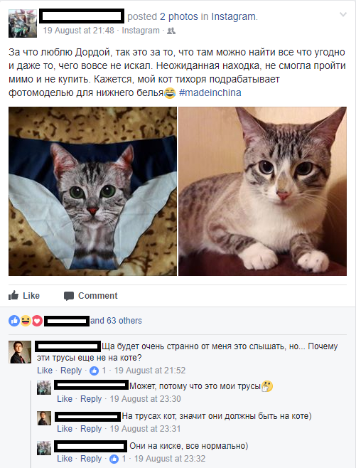 They're on the pussy, it's okay! - My, Comments, The photo, Screenshot