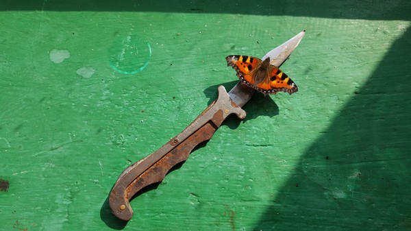 Butterfly knife - My, Knife, Butterfly