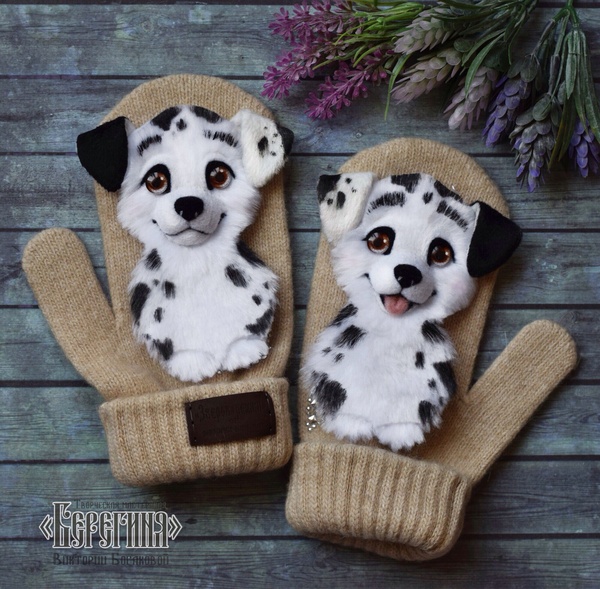 ���������� ��� � ����� ������������, ����������, ��������� ��� ��������, ������, �����, ��������, ���, ������ ������, ����������