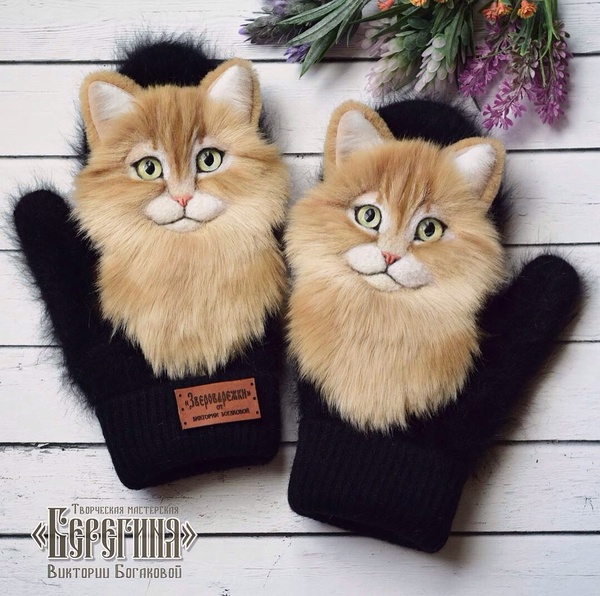 ���������� ��� � ����� ������������, ����������, ��������� ��� ��������, ������, �����, ��������, ���, ������ ������, ����������