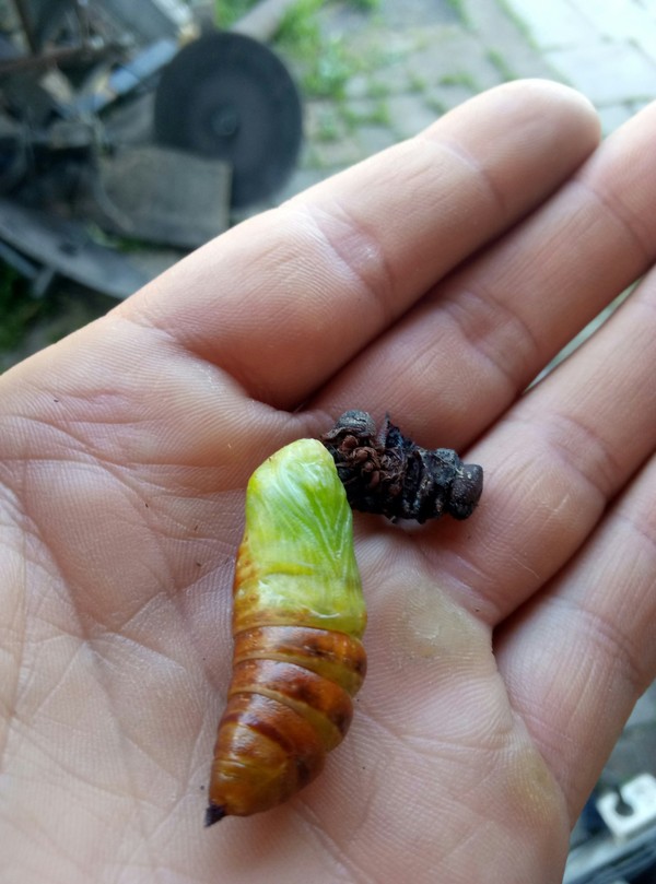 ,  2 , , , , 