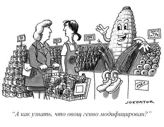 There must be a way to know - GMO, Vegetables, Corn, Comics, New Yorker, The new yorker
