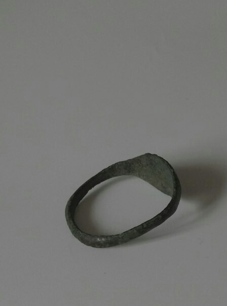 Found a ring in the garden. - My, Ring, Find, Garden, Longpost