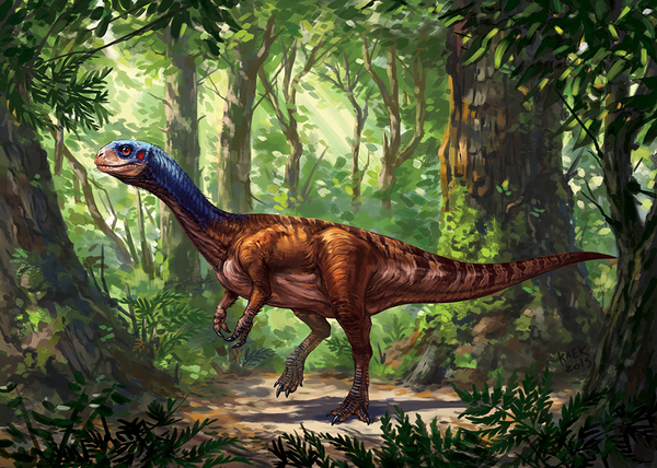 A transitional link between carnivorous and herbivorous dinosaurs has been established - Paleonews, Paleontology, Copy-paste, Evolution, The science, Longpost