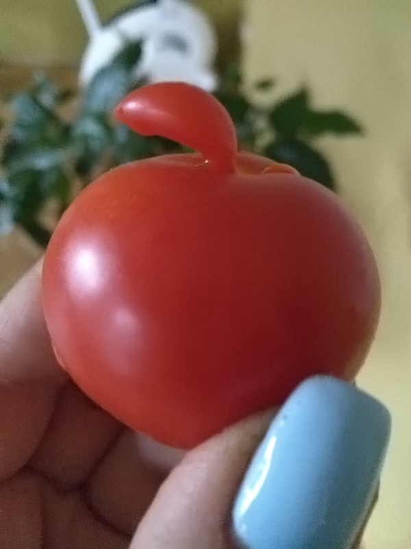 Apple tomato version - My, Nature, Tomatoes, Garden