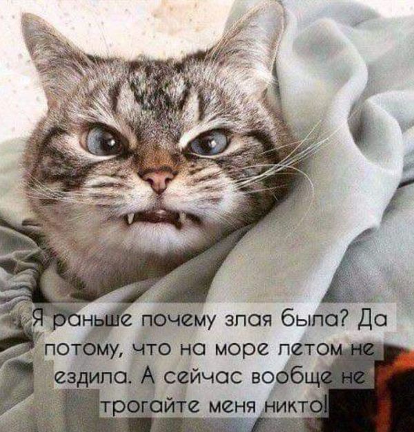   :( , , 