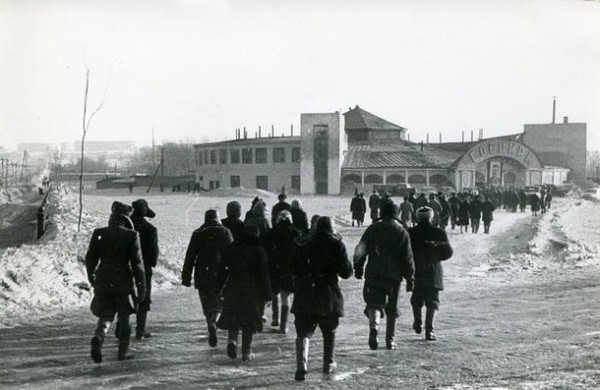 Club History of Magnitogorsk. THE CIRCUS. - Magnitogorsk, Real life story, Old photo, Circus, Cultural rest, Childhood memories, People