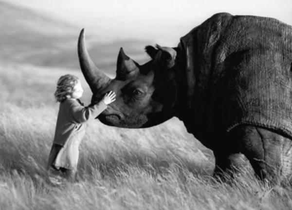 Rhino and girl! - Rhinoceros, Girl