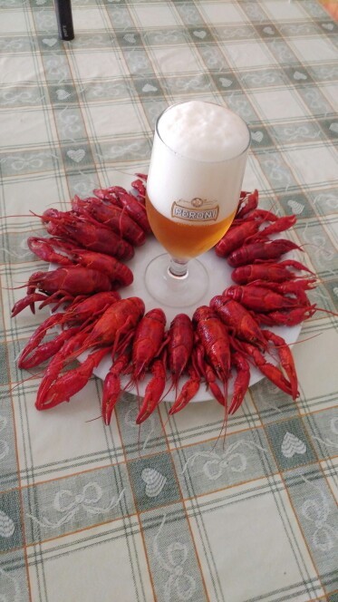 I caught these crayfish in Italy - Crayfish, Fishing, Beer snack, Italy, Longpost