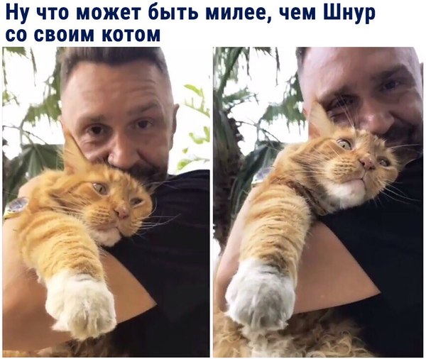 Ну что может быть милее,чем Шнур со своим котом. - Шнур, Кот, Сергей Шнуров