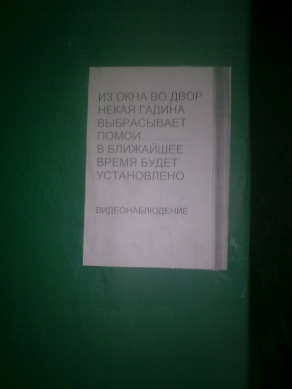 In one of the front doors of St. Petersburg - The photo, Announcement, Discontent, , Insult