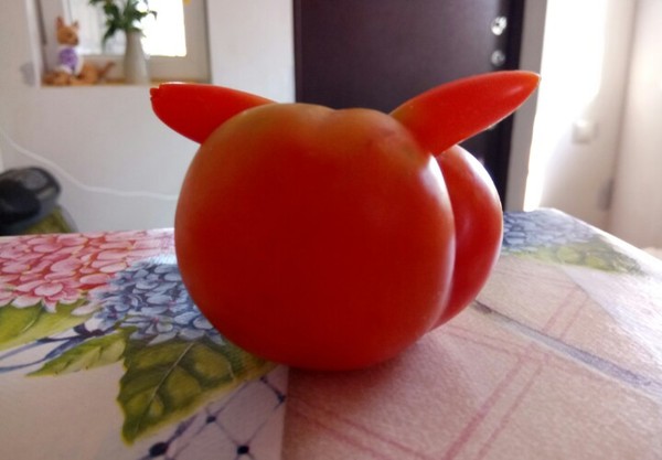 Here is a tomato we found in the garden - My, Tomatoes, Hare