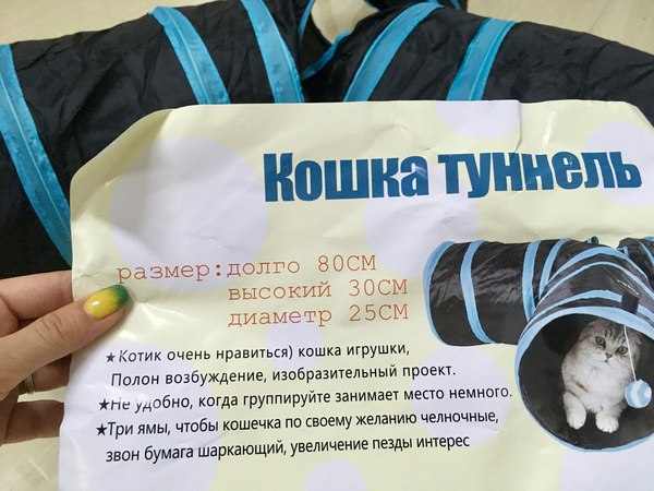 На днях соседи купили коту игрушку