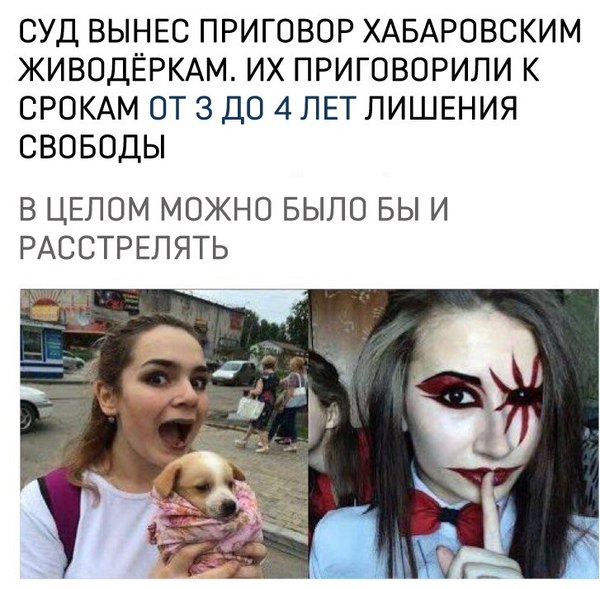How not to remember these geeks? - Girl, Dogs and people, Khabarovsk flayers, Khabarovsk, Animals, Pupils, Court, Sentence