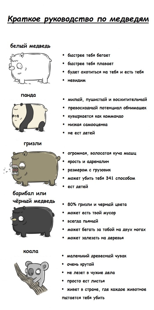 About bears - , Classification, Picture with text, The Bears