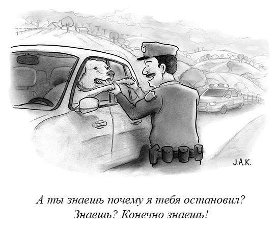 Кто хороший мальчик? - Собака, Комиксы, The New Yorker, New Yorker