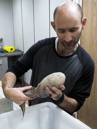 Faceless fish caught off the coast of Australia - A fish, 