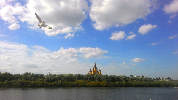 Walk along the Oka - My, Nizhny Novgorod, Oka, Walk, Seagulls, The cathedral