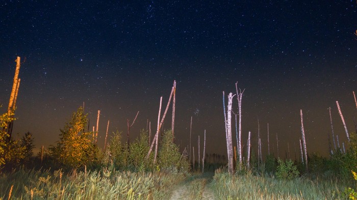 Lakes Lebedinsky and Izyary - My, Chuvashia, Zavolzhye, Summer, Night, Forest, Landscape, Starry sky, Longpost