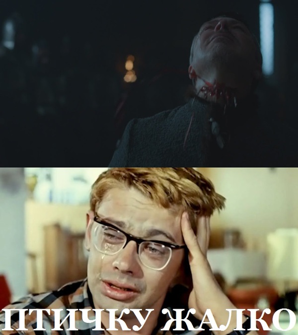       - .  ,  , , 