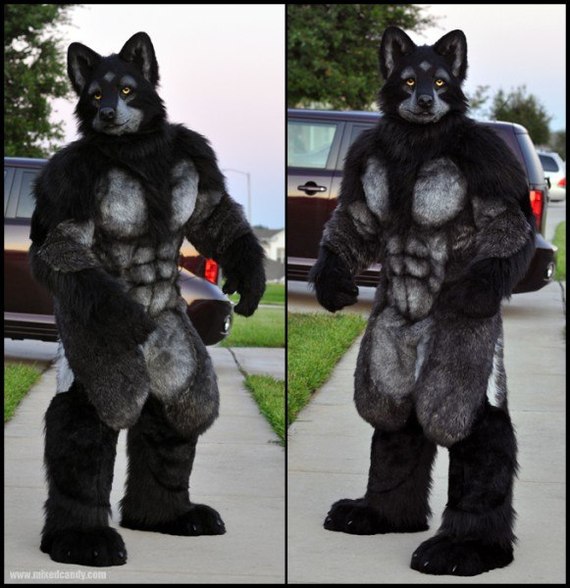 Strong fursuit - Wolf, Costume, Furry