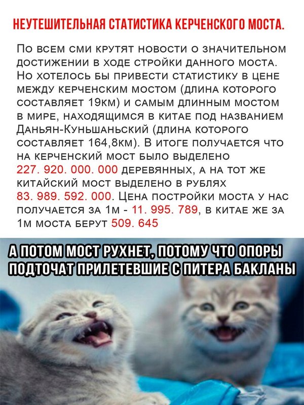 About the Kerch bridge - Kerch bridge, Corruption, Mathematics, Cormorants, Crimean bridge