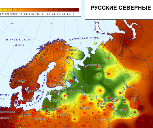 Генофонд народов Северо-Восточной Европы. От финнов до литовцев. - Генетика, Народ, Финны, Карелы, Латыши, Эстонцы, Литовцы, Коми, Длиннопост