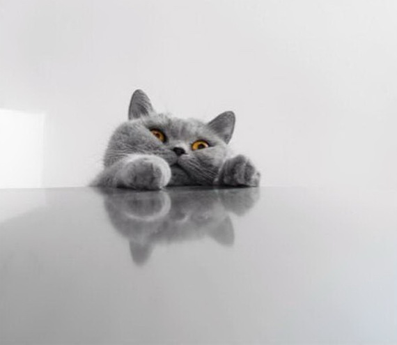 ������� �� ����))