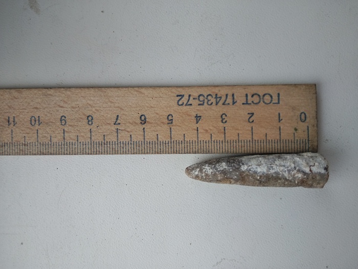 What's this? - My, Fossils, Paleontology, What's this?, Longpost