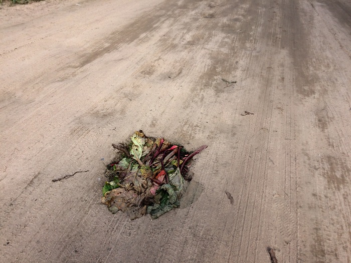 Under St. Petersburg, a new technology for repairing broken roads was discovered. - Road, My, Saint Petersburg