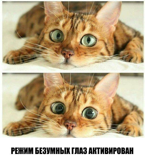 ! , , 