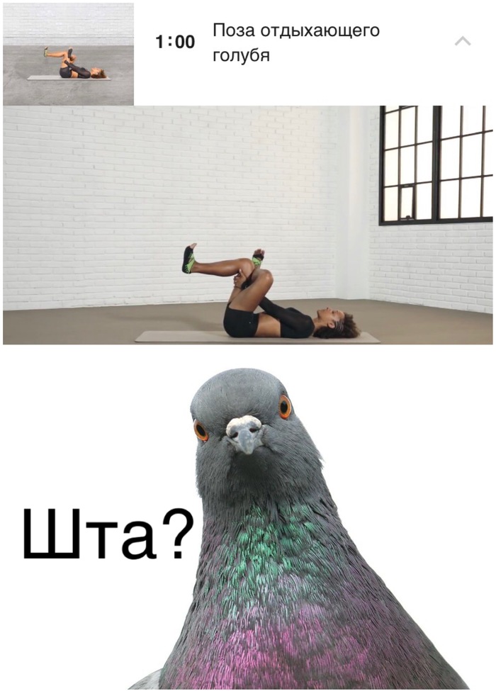 Yoga is yoga - My, Yoga, Pigeon, Nike, Sport