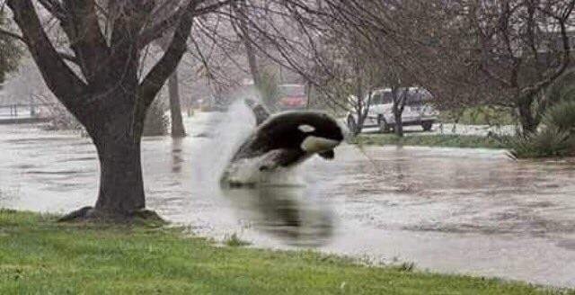 Тем временем в Хьюстоне