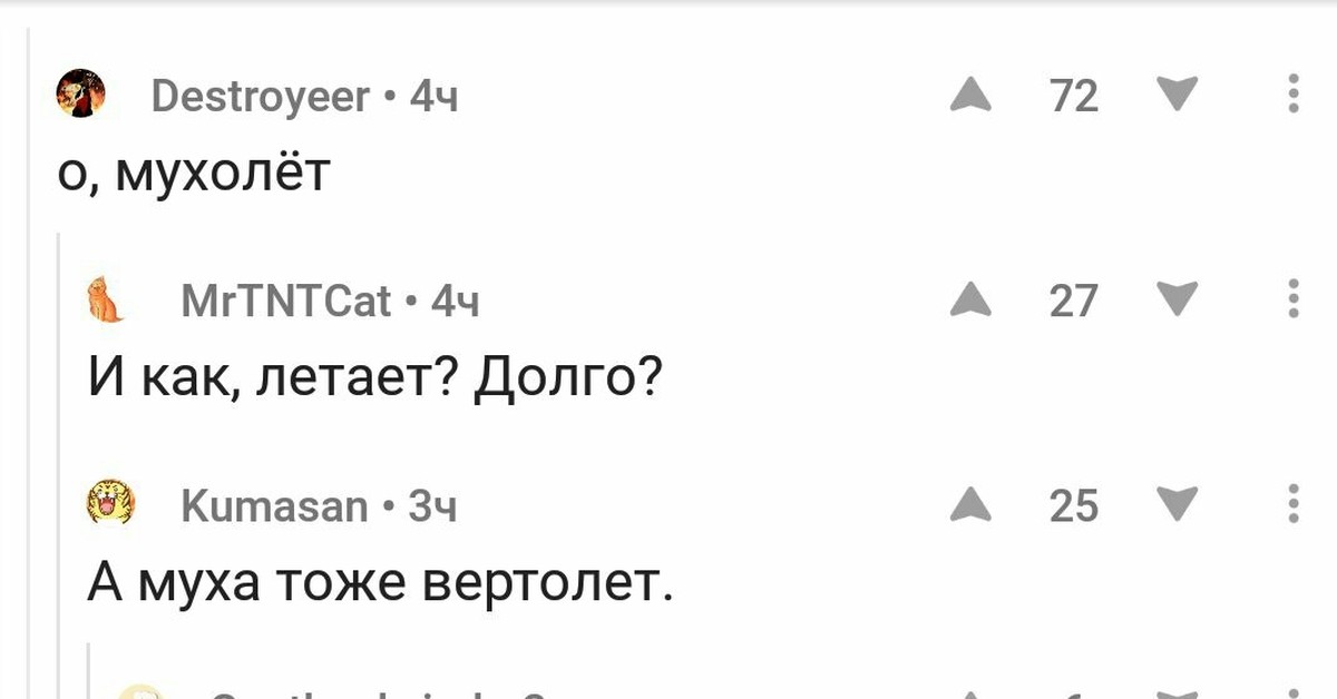 Песня а муха тоже вертолет