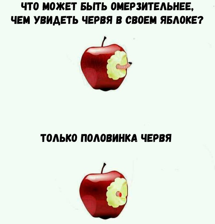 Как говорил мой знакомый: лучшее в яблоке - это чистый белок - Яблоки, Червь