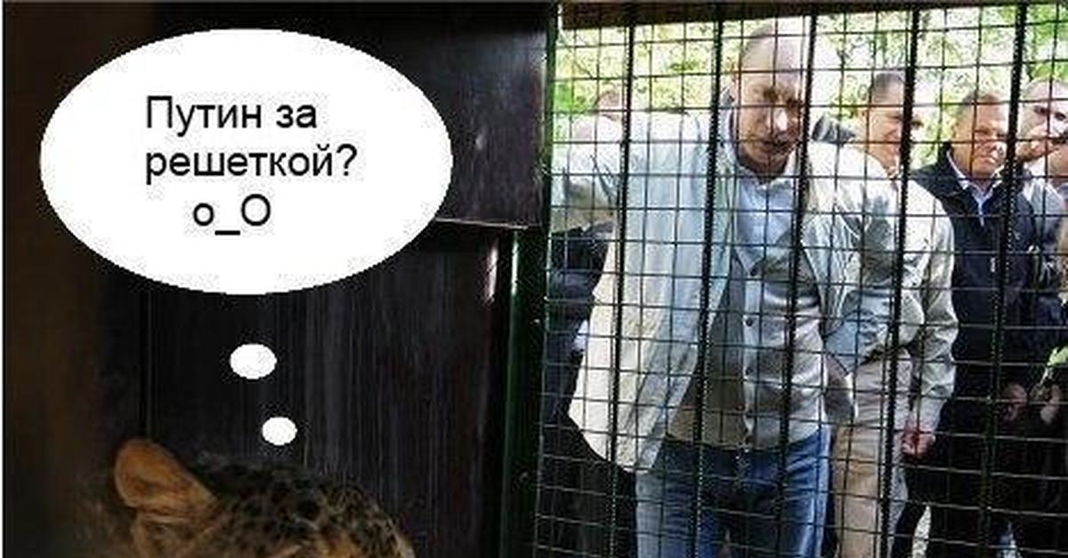 Путин за решеткой фото