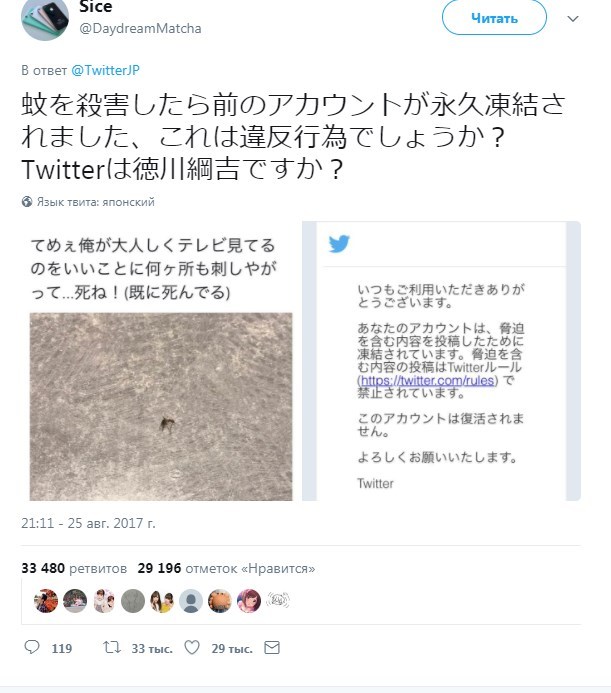 A Japanese man was blocked on Twitter for threatening a mosquito. - Twitter, Mosquitoes, Japanese