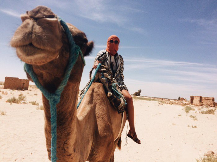 Satisfied mustachioed muzzle - My, Camels, Africa, Desert, Travels, The photo