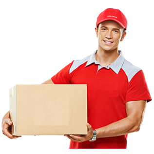 About the postman - My, Postman, Delivery, Tips, Work, Story, Express delivery, Text