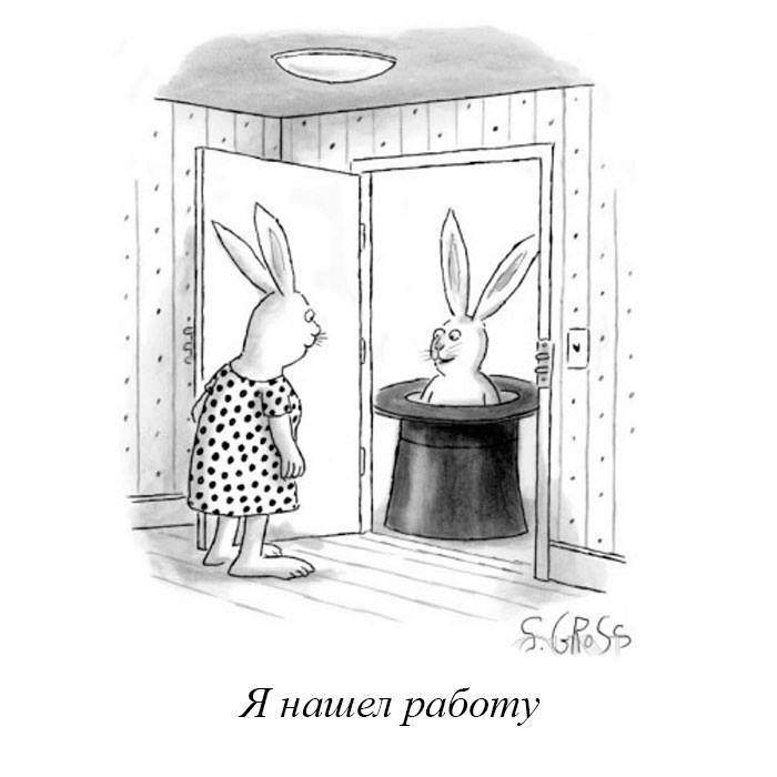 Honey, are you happy? - Comics, Rabbit, Hat, The new yorker, New Yorker Magazine