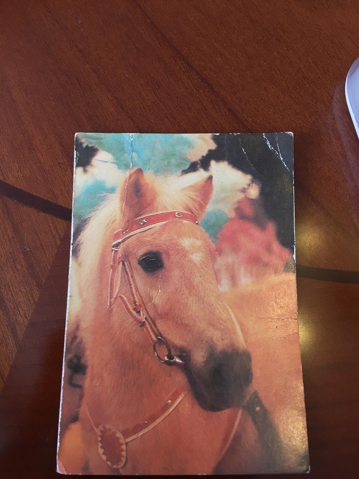 Old calendar. - My, Retro, The calendar, Horses, 1986, Find, Circus, the USSR, Longpost