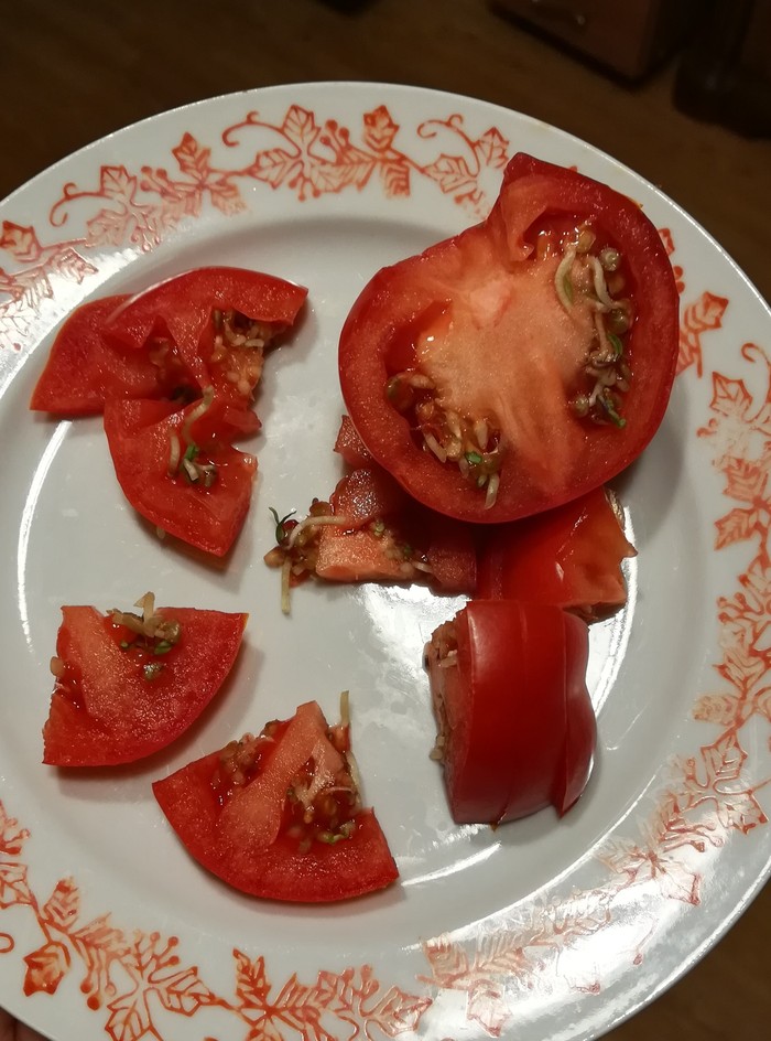 This is the first time I've seen this - My, Tomatoes, Abomination, Worm, Ugh, Longpost