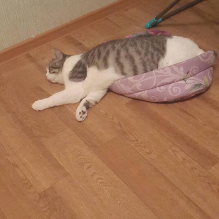    ,      ,  , 