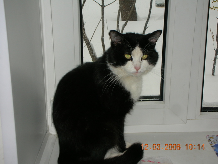 ����������� ���������