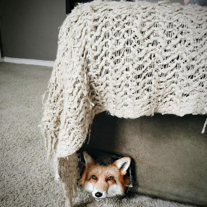 �� ������ ! ^.^