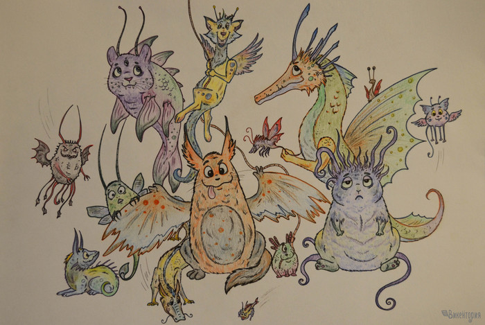 ���������