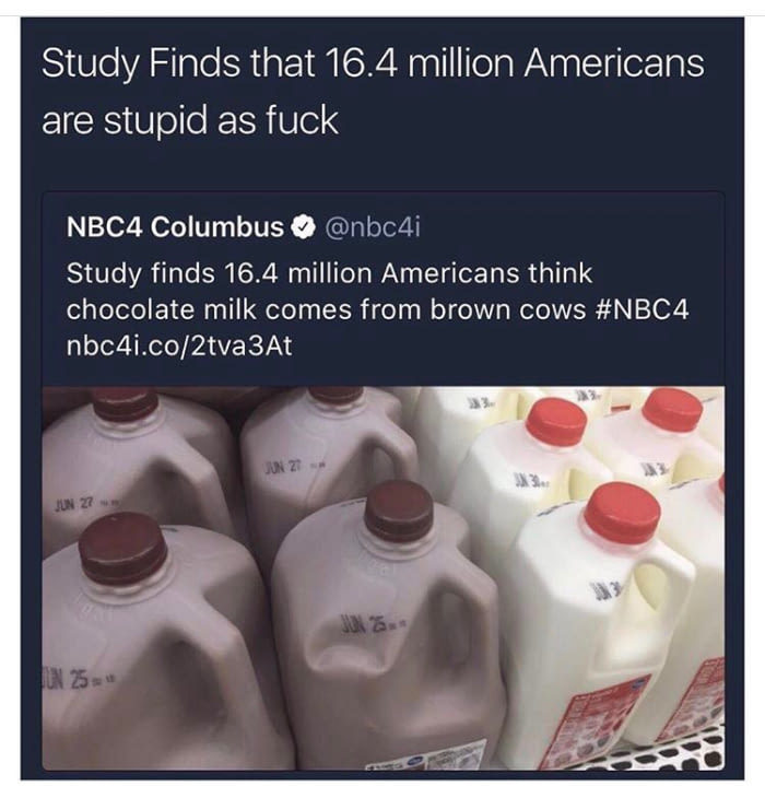 Chocolate milk. Well, how can you be so stupid - Stupidity, USA, Milk