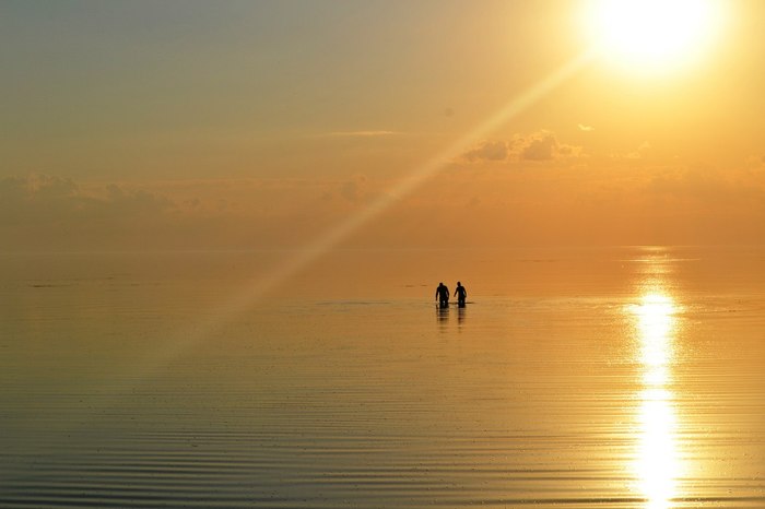 Chudskoye - My, Lake Peipsi, Summer, Beautiful view, Gdov, Silence